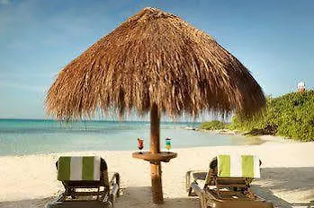 Turquoize At Hyatt Ziva Cancun Adults Only Hotel Mexico